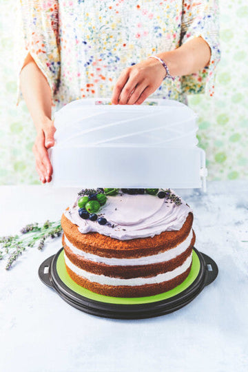 Expandable Cake Taker